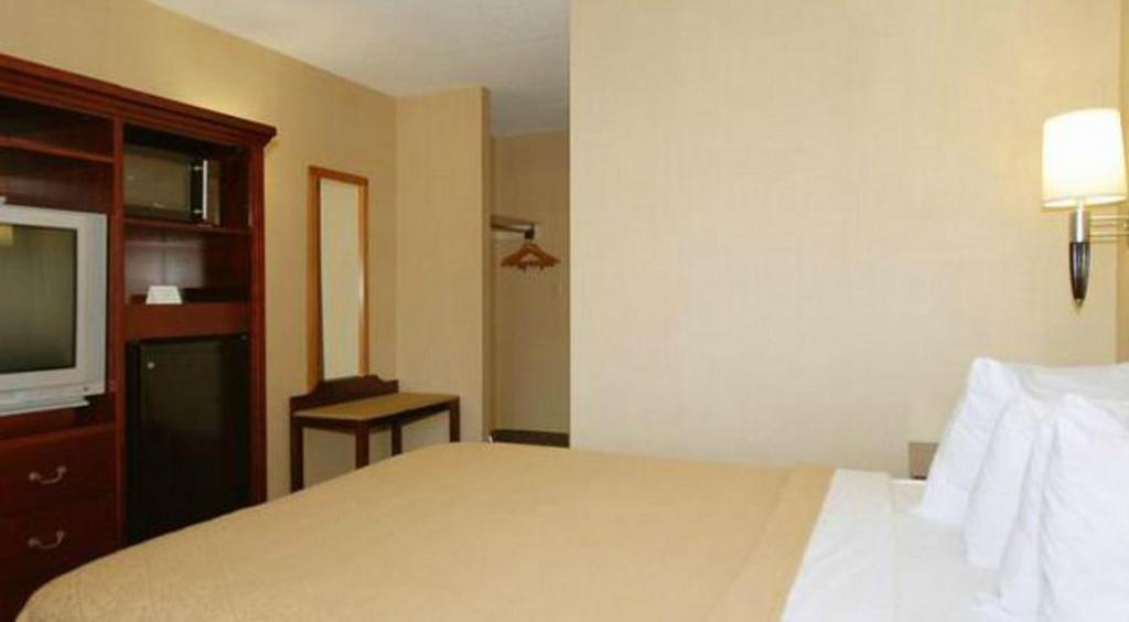 Quality & Hotel